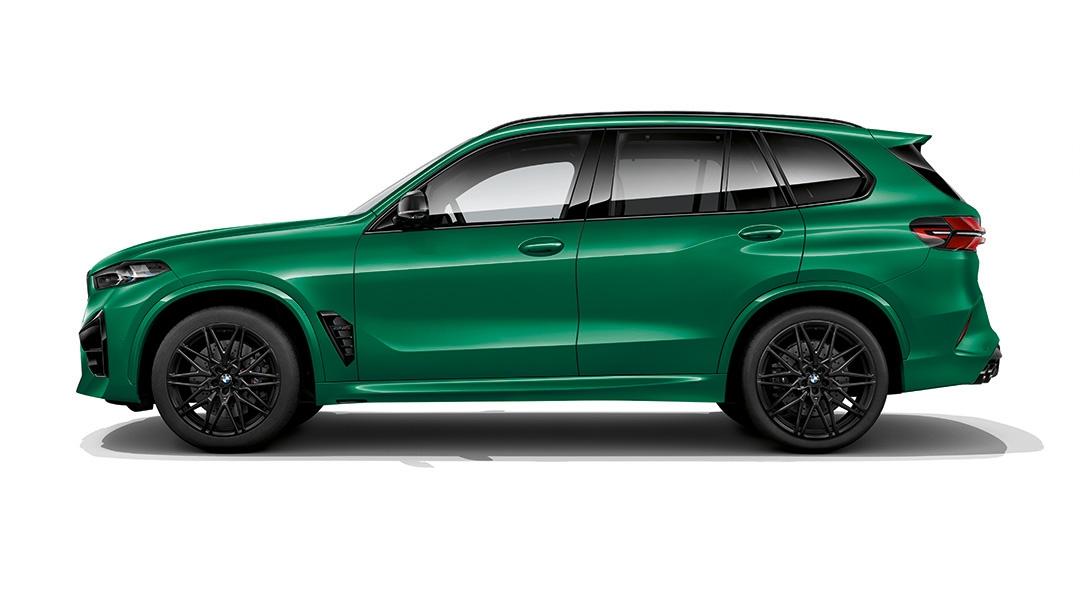 Бүйір жақ көрінісі