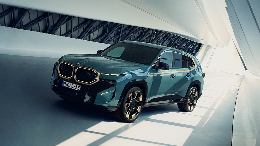 Бейімделетін M Professional аспасы